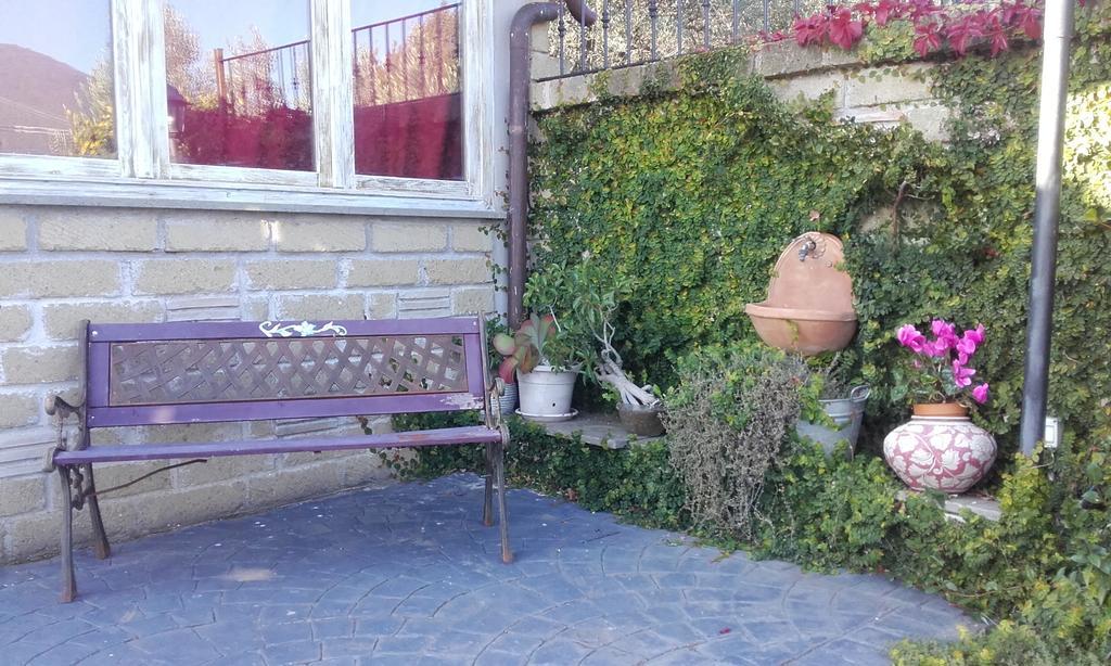 Il Poggio Degli Ulivi Daire Trevignano Romano Oda fotoğraf