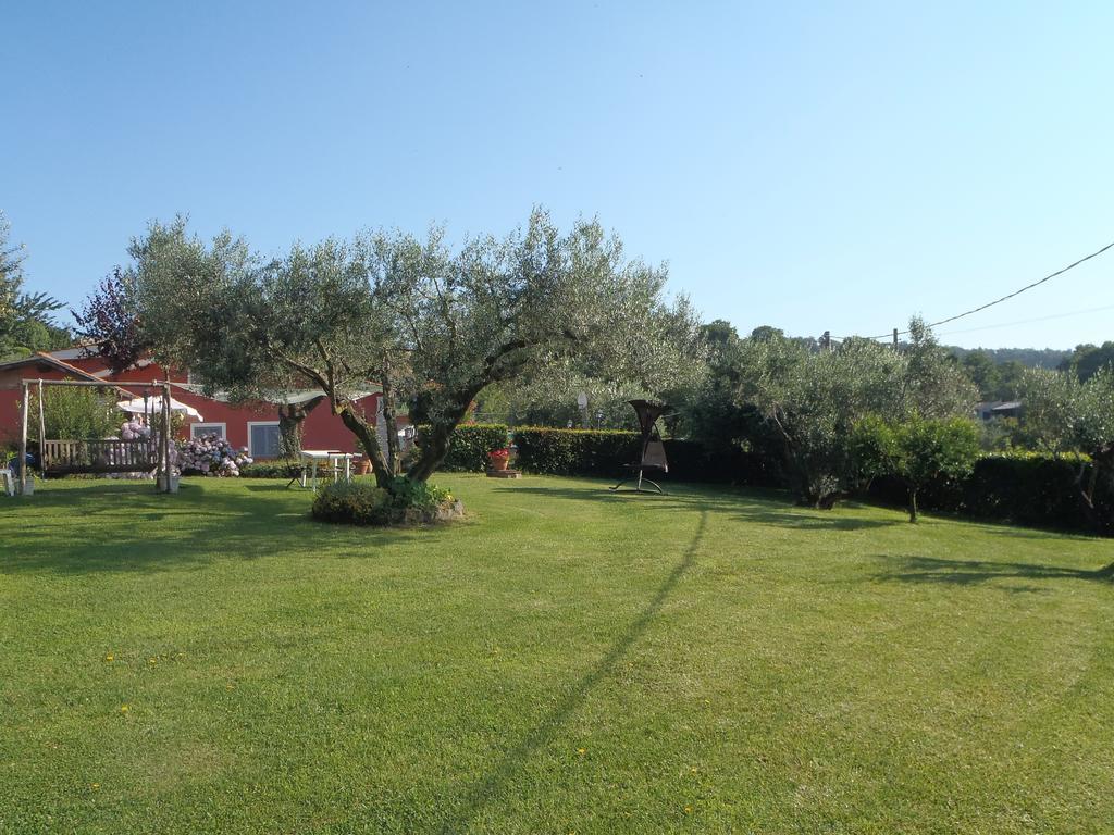 Il Poggio Degli Ulivi Daire Trevignano Romano Oda fotoğraf