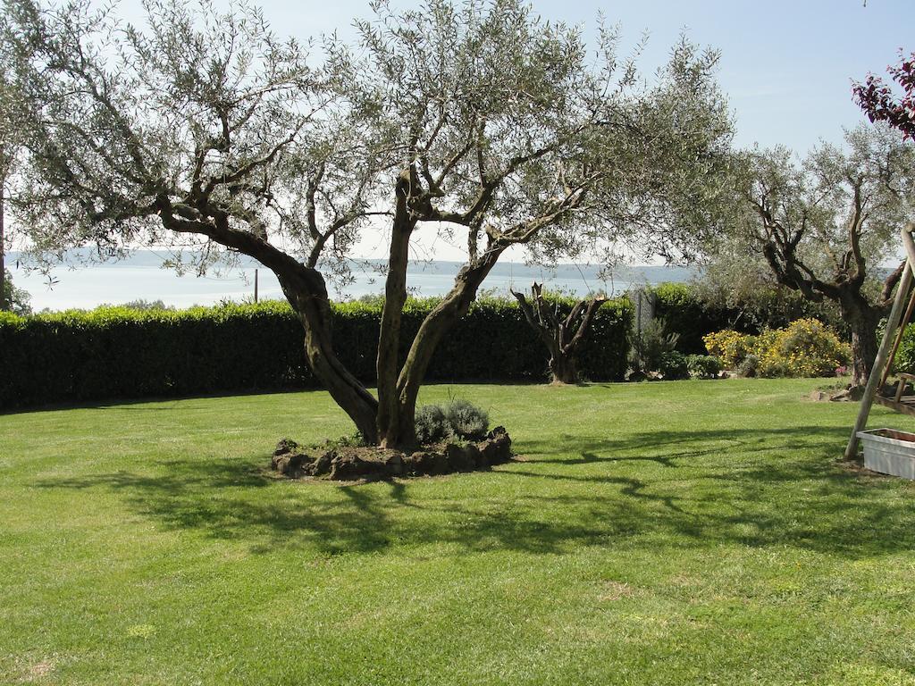 Il Poggio Degli Ulivi Daire Trevignano Romano Oda fotoğraf