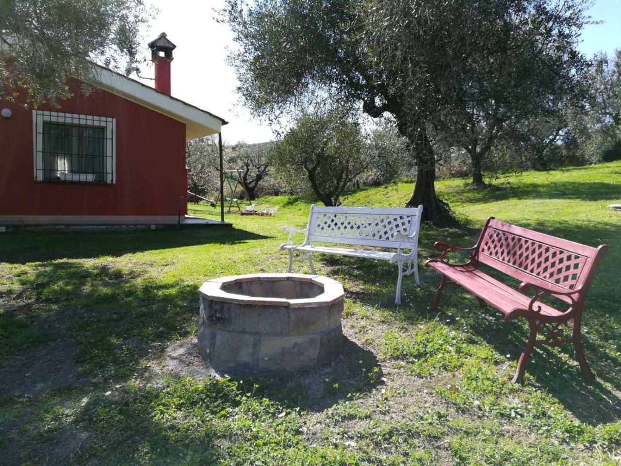 Il Poggio Degli Ulivi Daire Trevignano Romano Dış mekan fotoğraf